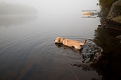 Fog Swim